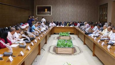 شوشة في المجلس التنفيذي: تطبيق مبادرة الرئيس حياة كريمة في شمال سيناء