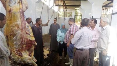 بيطري المنيا يعدم ذبيحة مصابة بالسل