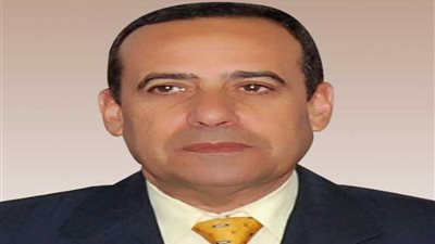 فتح مجازر شمال سيناء لذبح الأضاحي بأسعار رمزية