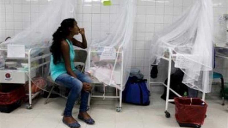 بالفيديو والصور: