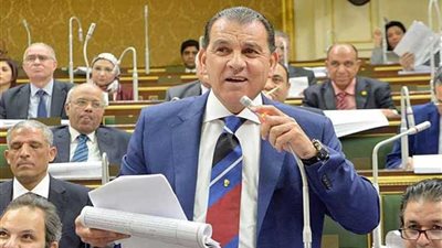 باشات: مصر دائما فاعلة لتحقيق الأمن والسلام في أفريقيا