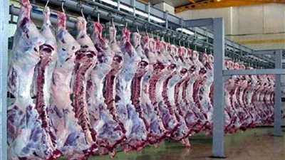 مجازر المنوفية تحت السيطرة في عيد الأضحي