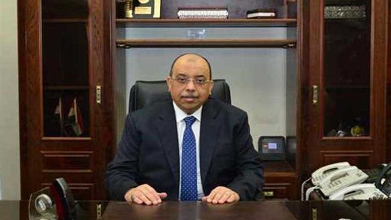 التنمية المحلية: