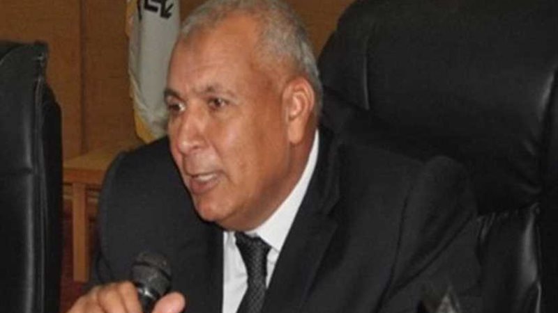 محافظ الوادي الجديد