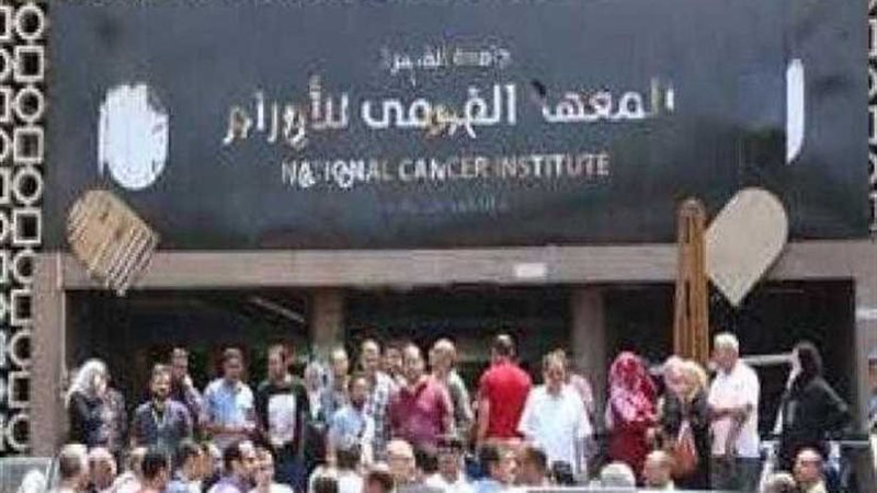 الاتحاد الدولي للمصريين