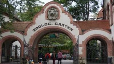 أكلت أولادها بعد 3أيام من الولادة