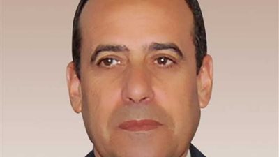 شهر إضافي مهلة لاستكمال أوراق توزيع 2500 فدان على شباب الخريجين بشمال سيناء