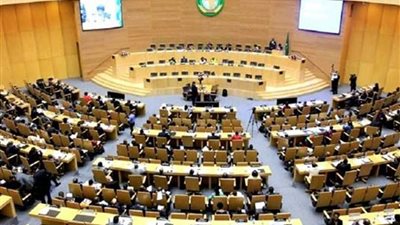 رئيس لجنة العلاقات الدولية بالبرلمان الإفريقي: مصر مثال يحتذى به في القارة