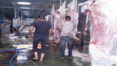 9 نصائح يجب اتباعها عند شراء لحمة عيد الأضحى