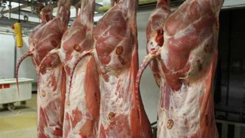 الزراعة تكثف حملاتها