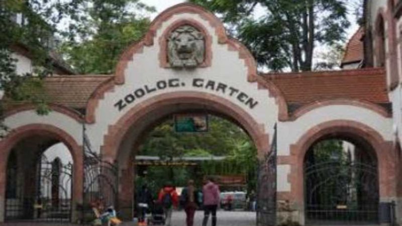 أكلت أولادها بعد