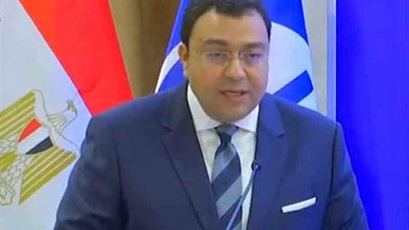 الخارجية: مصر لديها