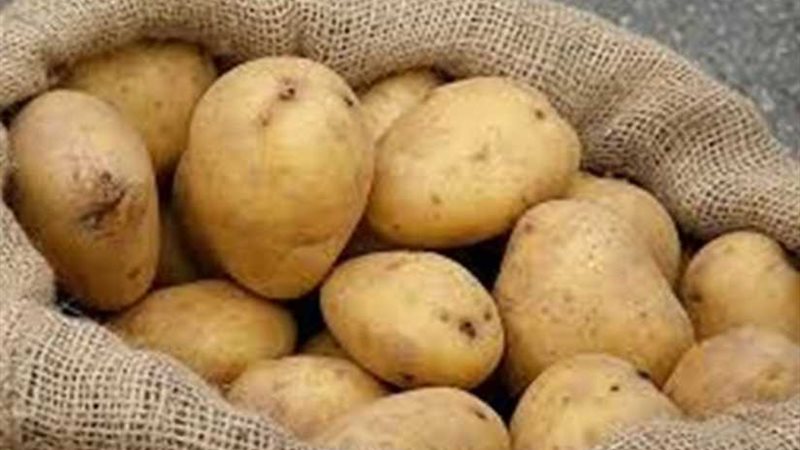 الزراعة: لا صحة إطلاقا