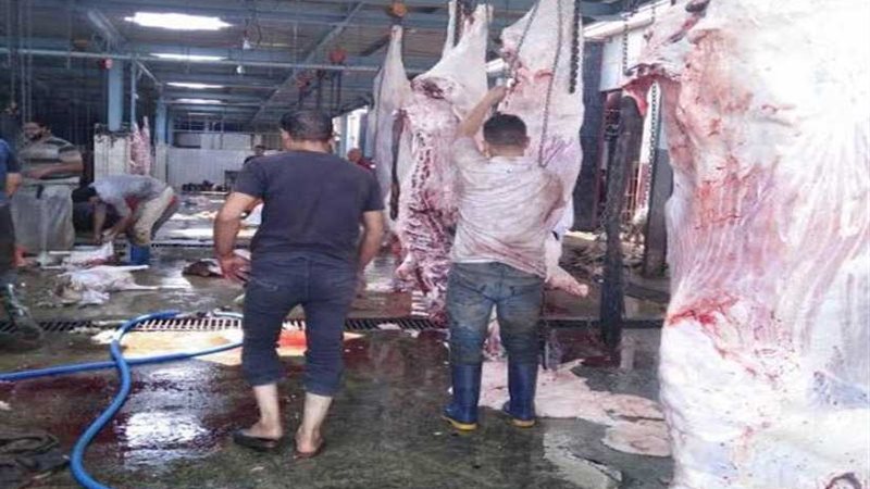 9 نصائح يجب اتباعها