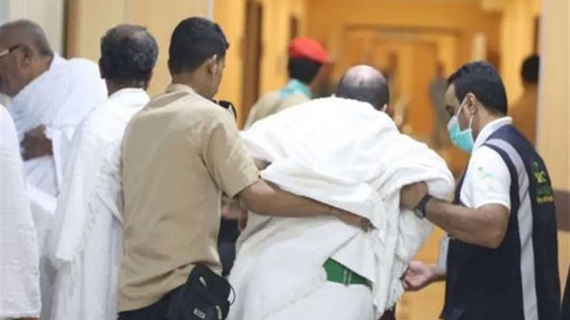 هيكل يشيد بجهود السعودية