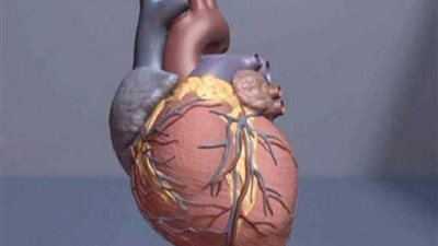 أمراض القلب القاتلة.. سبب رئيسي وحل بسيط جدا