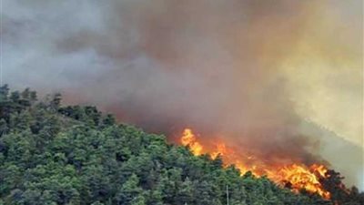 موسكو تخمد 50 حريقا للغابات شرقي روسيا