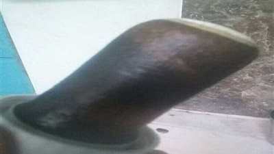 أهالي الجريدات يطالبون بإحلال وتجديد محطة المياه