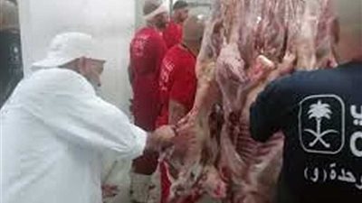 الزراعة: أطباء البعثة المصرية يشاركون في فحص لحوم الأضاحي بالسعودية