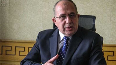 الرئيس التنفيذى لبعثة الحج : الحجاج بخير.. ونجاح 