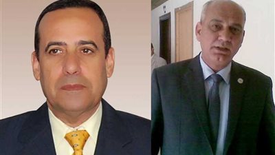 تمويل 121 مشروعًا زراعيًا في شمال سيناء بقيمة 1.4 مليون جنيه