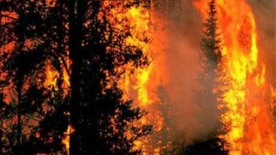 حرائق غابات جزر الكناري تلتهم 10 آلاف كيلومتر مربع وتهدد منطقة سياحية