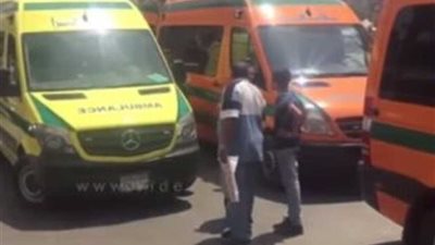 مبلط يتعدى على عامل لخلافات سابقة بشبين القناطر