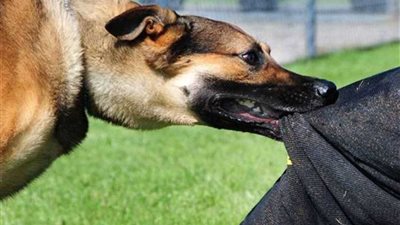 جريمة بشعة.. عاطل يعذب نجل شقيقه حتى الموت في الخصوص