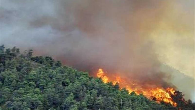 موسكو تخمد 50 حريقا