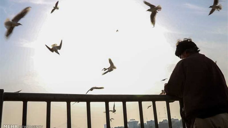 هاربة إلى حضن المتوسط