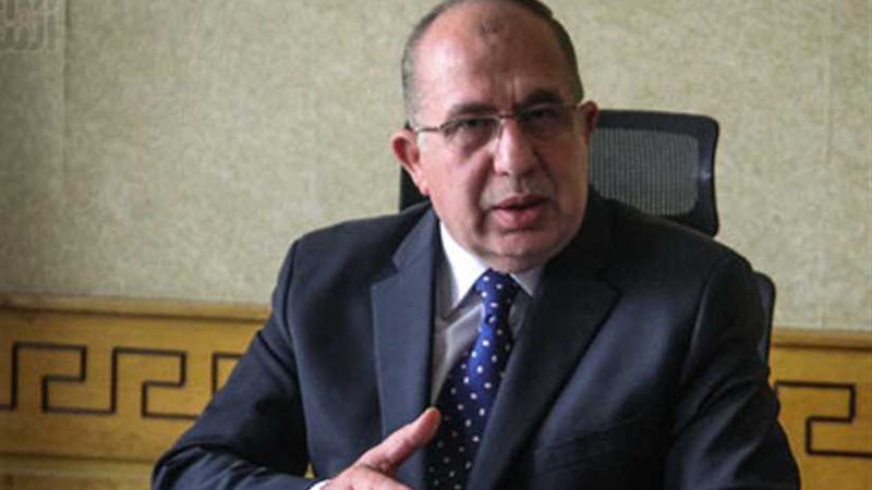 الرئيس التنفيذى لبعثة