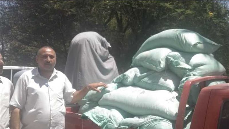 ضبط 425 مخالفة تموينية