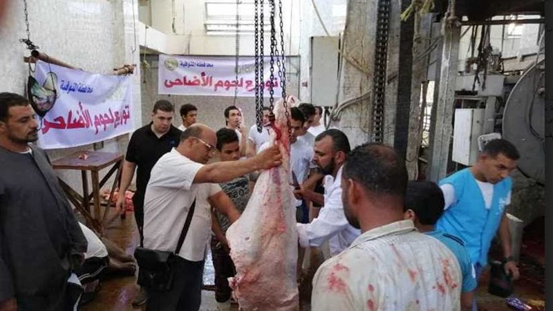 توزيع لحوم 25 عجل