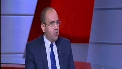 رئيس اقتصادية الحركة الوطنية مشروع الصوب الزراعية يحقق التنمية الزراعية المستدامة لمصر