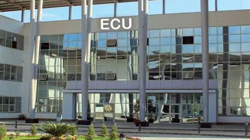 شمال سيناء تعلن أسماء