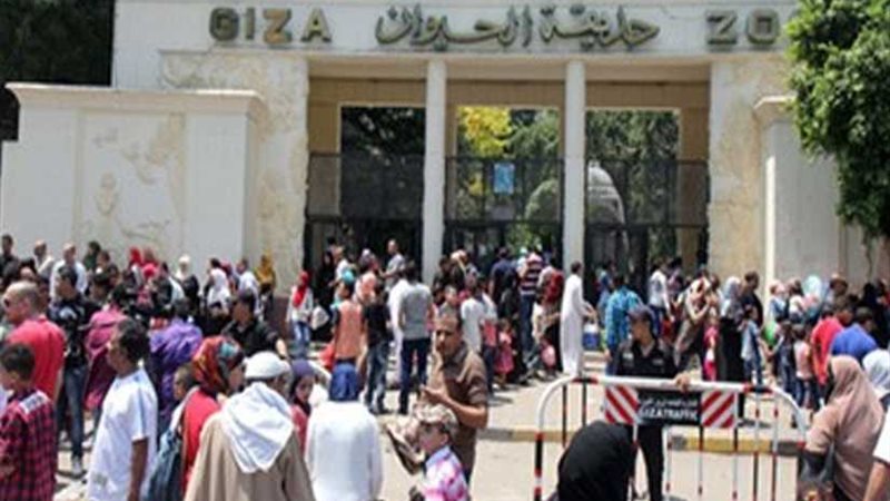 أكثر من ربع مليون