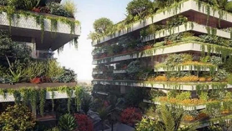 أول غابة عمودية في