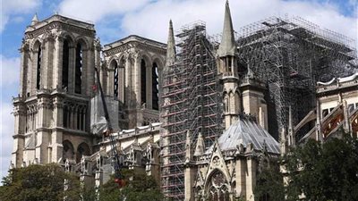 علماء صينيون يكملون خريطة جينوم ثلاثية الأبعاد وعالية الدقة للأرز