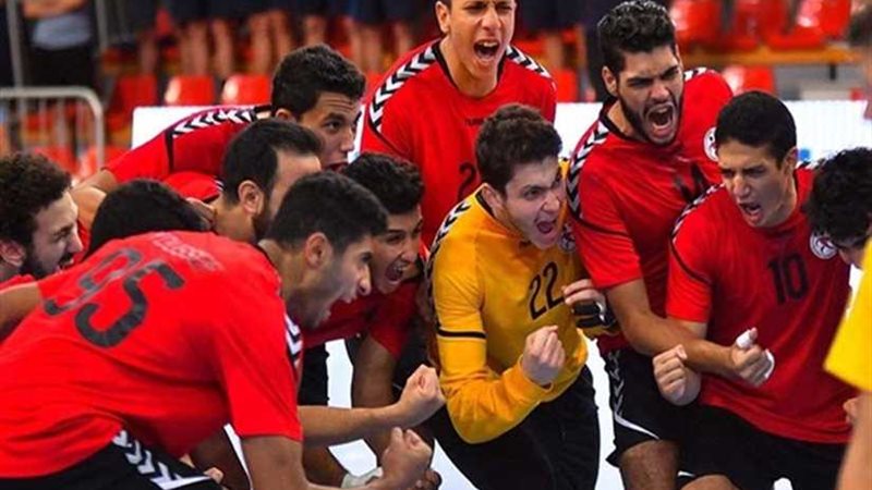 رئيس حزب المصريين