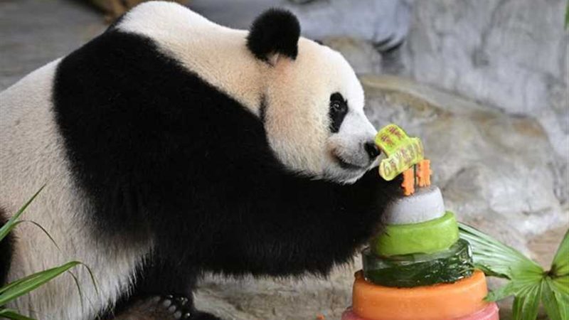 أول احتفال بعيد ميلاد