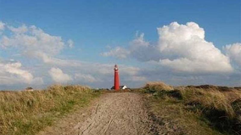 من عجائب الطبيعة..