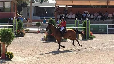 فرسان مصر يواصلون المنافسة للتأهل للأوليمبياد بدورة الألعاب الإفريقية