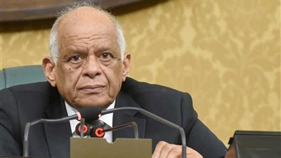 رئيس مجلس النواب يؤكد حرص مصر على تعزيز علاقاتها مع توجو