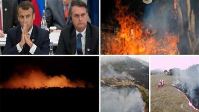 رئة العالم تحترق.. تمد كوكب الأرض بـ