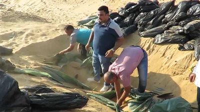 استخراج 2 طن بانجو مدفونة في رمال 