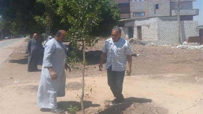 تجميل وتشجير مداخل