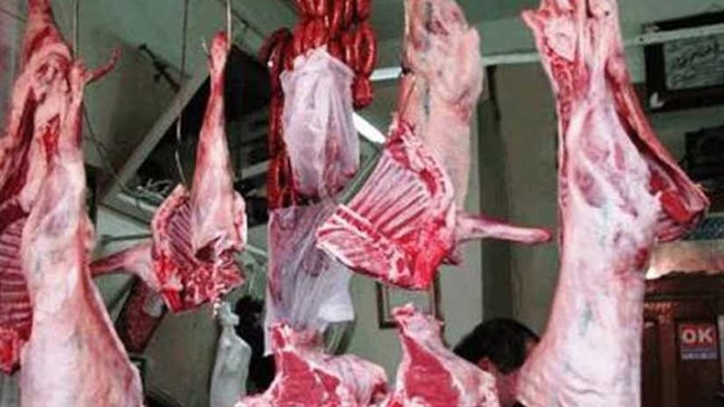 توزيع خمسة أطنان