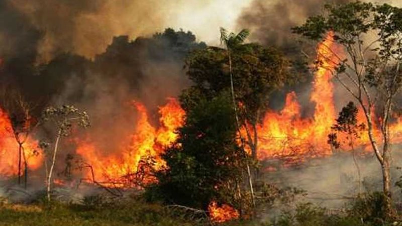 رئيس الوزراء البريطاني
