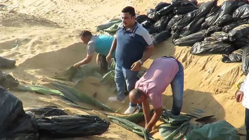 استخراج 2 طن بانجو