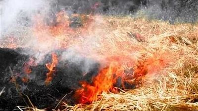 زراعة البحيرة.. ندوات تدريبية بالإدارات الزراعية للاستفادة من قش الأرز